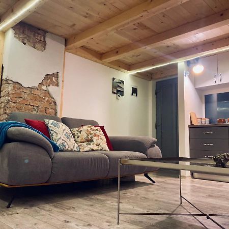Central Cluj Loft Lejlighed Eksteriør billede