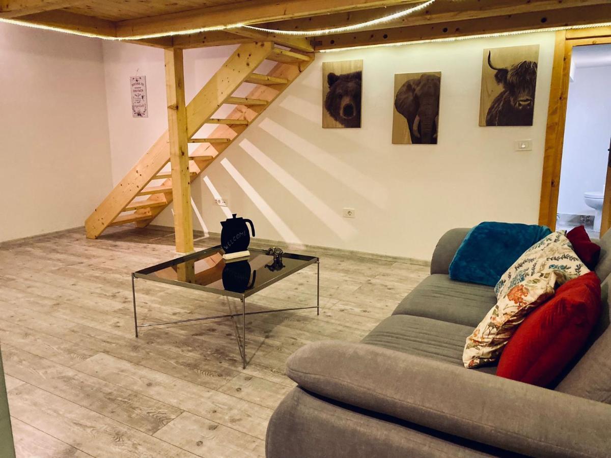 Central Cluj Loft Lejlighed Eksteriør billede