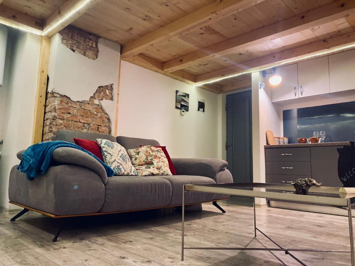 Central Cluj Loft Lejlighed Eksteriør billede